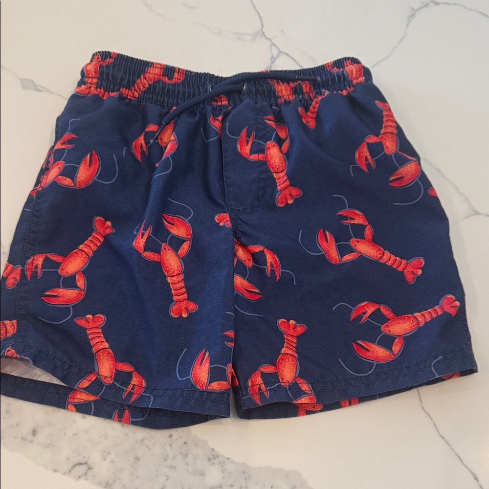 Carter's Navy Swim Shorts with Red Pattern